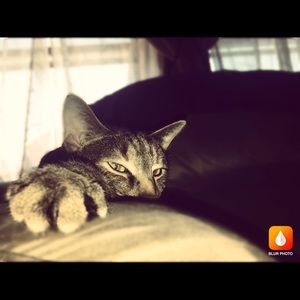 Meet your Posher, Alyssa